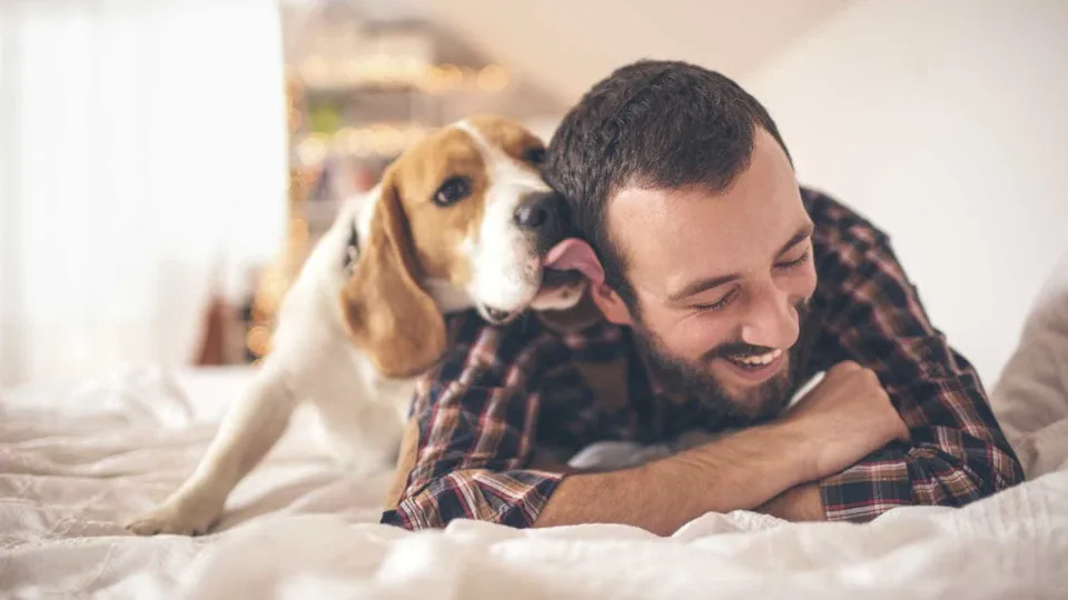 Como a pessoa se vê e como o cão a vê. Veja as diferenças