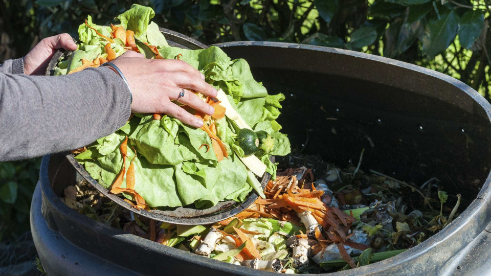 'Não' ao desperdício alimentar. Eis a política dos hipers em Portugal