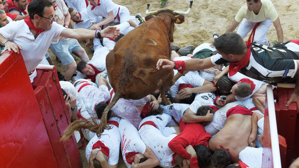 Os touros percorrem as ruas de Pamplona. Começou o San Fermin