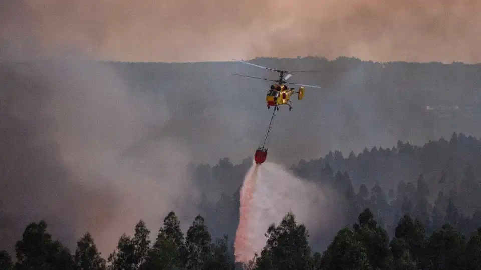 Fogo lavra em povoamento florestal em Leiria. Oito meios aéreos no local