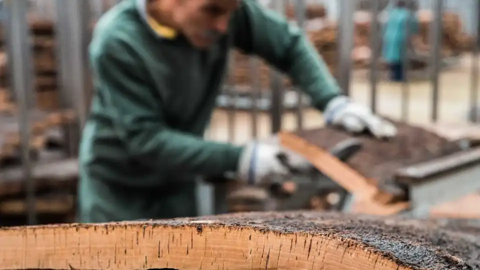  Mais de 100 trabalhadores saem da Amorim Cork Flooring