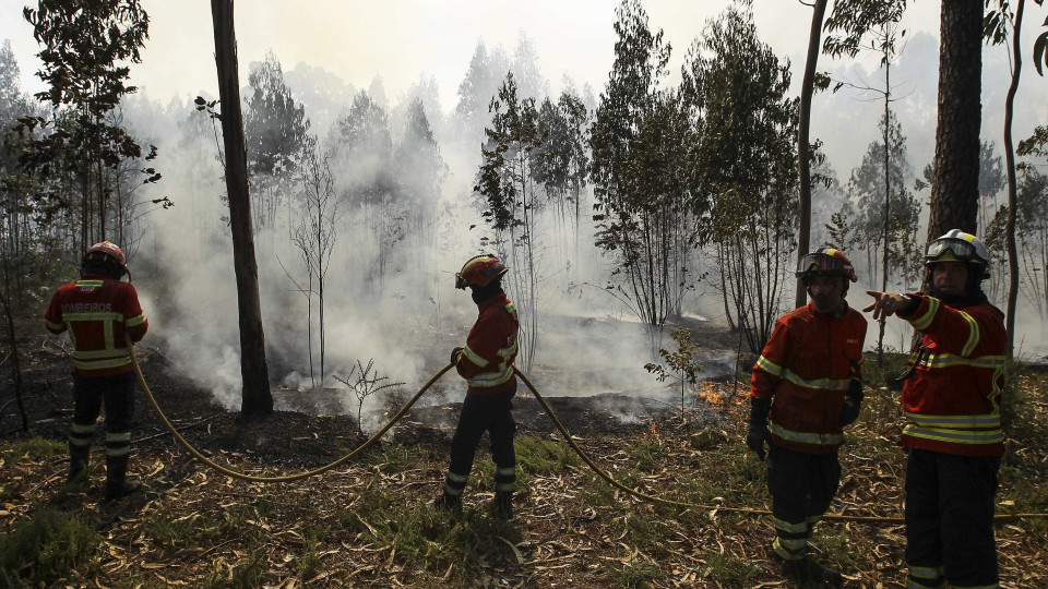 Cerca de 50 concelhos estão hoje em risco máximo de incêndio