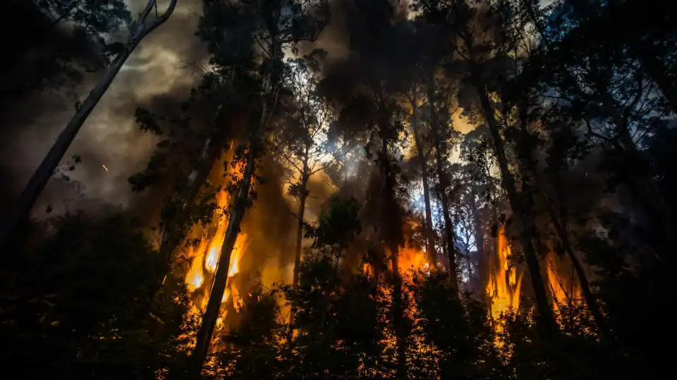 Incêndios: Mais de 80 concelhos de nove distritos em risco máximo