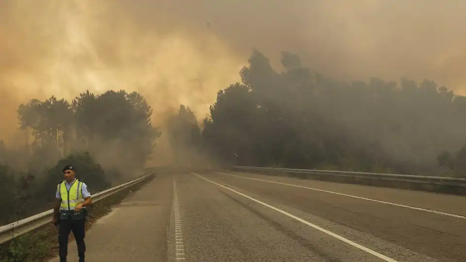 Foi apanhado num incêndio enquanto conduz? Saiba o que fazer 