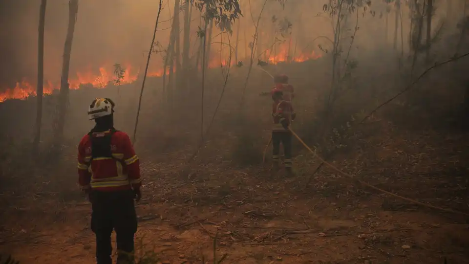 Bombeiros continuam combate às chamas na Madeira. Duas frentes ativas