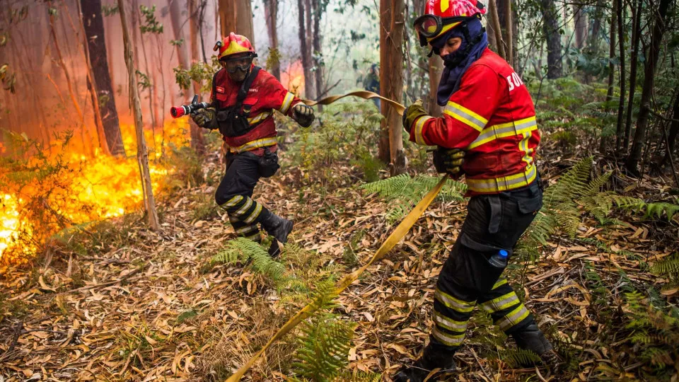 Rever Proteção Civil é a primeira missão do observatório independente