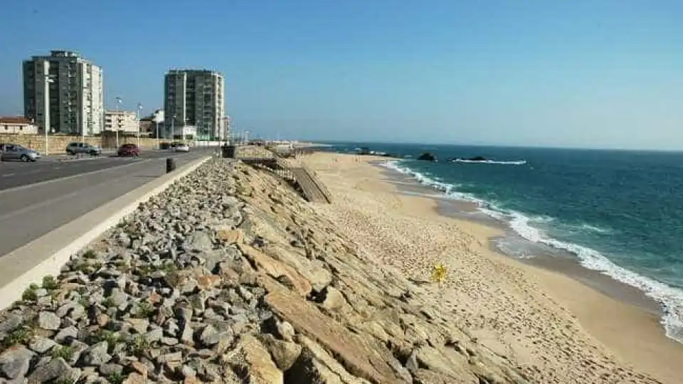 Baleia morta deu à costa em praia de Vila do Conde