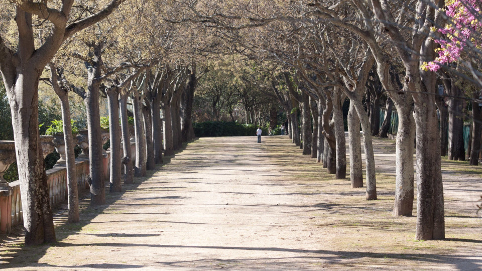 Lisboa aprova plano de salvaguarda e gestão da Tapada das Necessidades