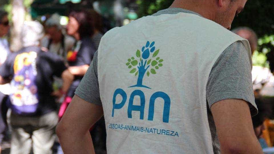 Madeira. Voto no PAN é escolher "futuro mais ético, verde e inclusivo"