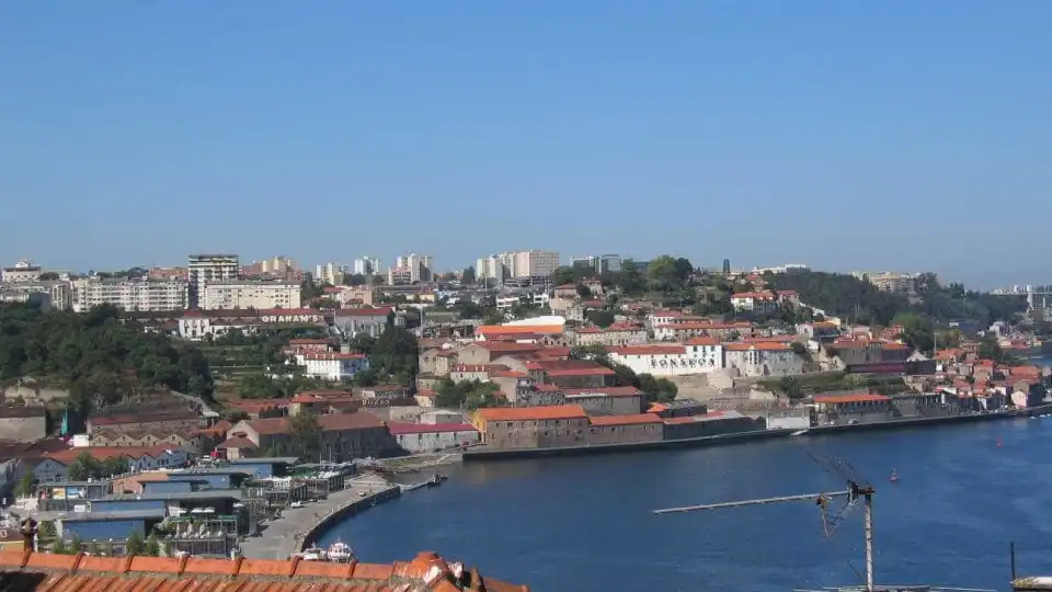 Câmara do Porto suspende pagamento de avenças nos parques municipais