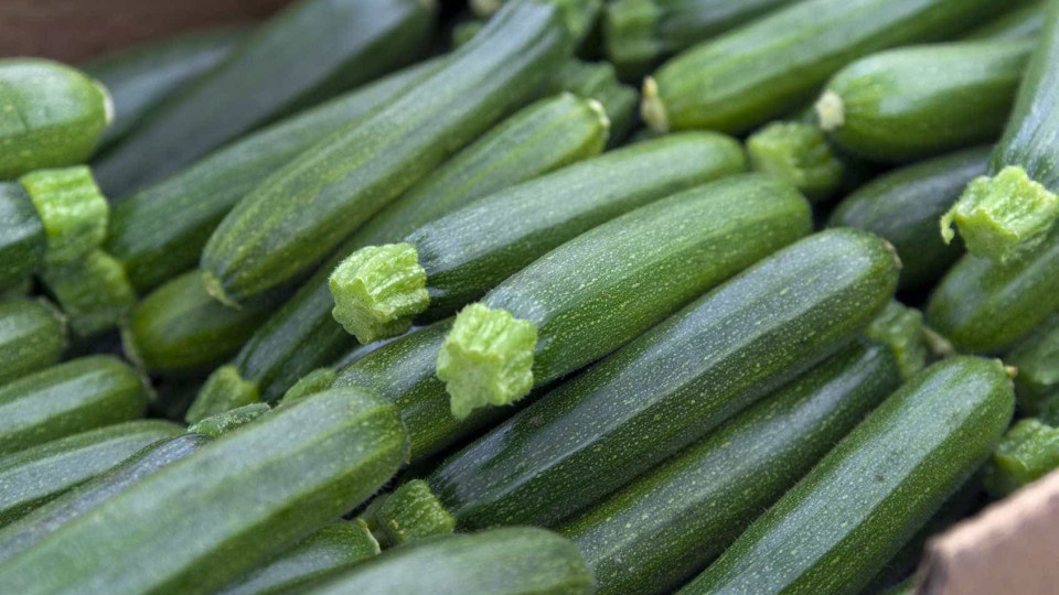 Já provou bolo de courgette? Aproveite as cascas com esta receita divinal