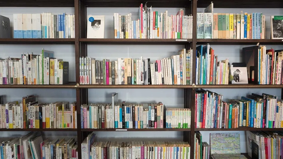 Bibliotecas, museus e arquivo histórico do Porto reabrem a 1 de junho