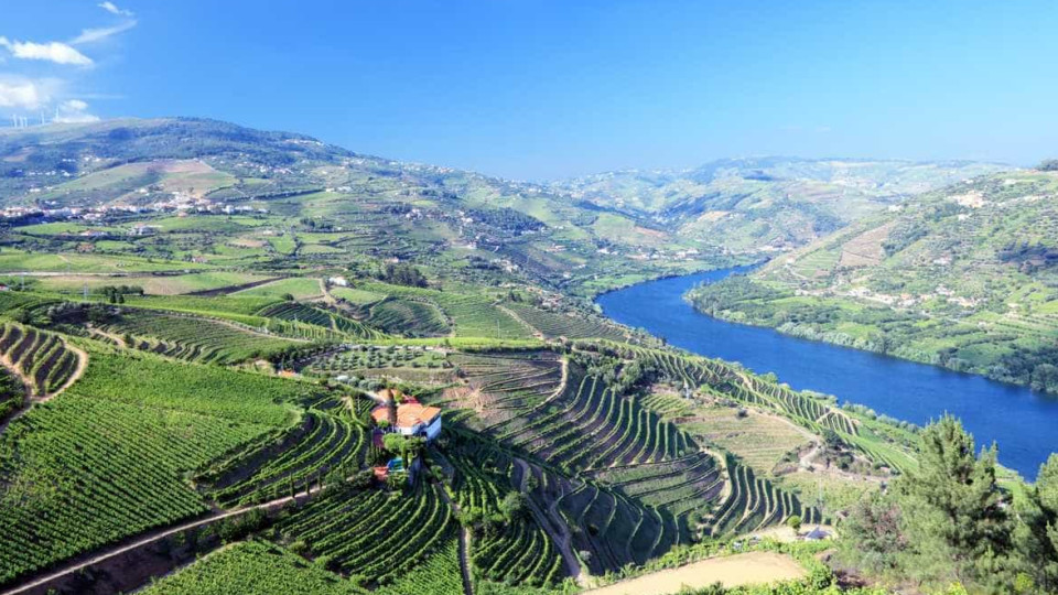 Douro já restringe novas plantações e defende apoios para modernização