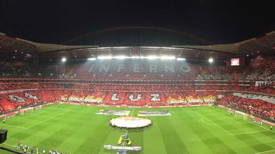 Flamengo vê o Benfica como um exemplo a seguir