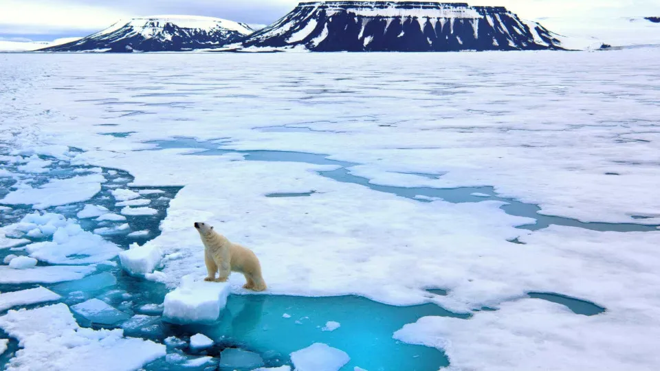 Não houve pausa no aquecimento global entre 1998 e 2014
