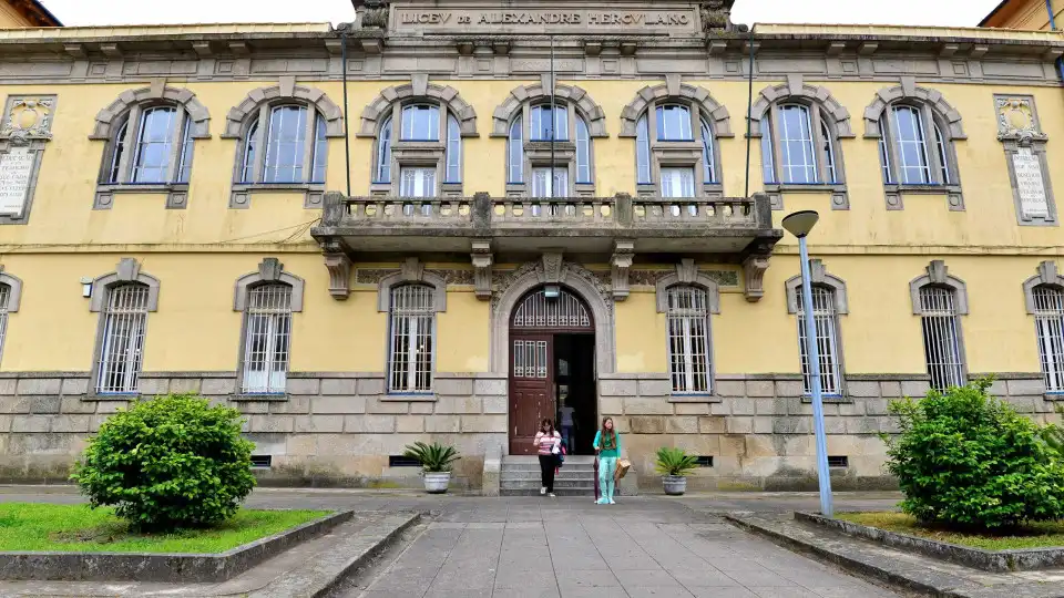 Queda de 3 árvores obriga a encerrar escola Alexandre Herculano no Porto