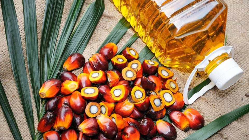 Estes alimentos 'escondem' óleo de palma