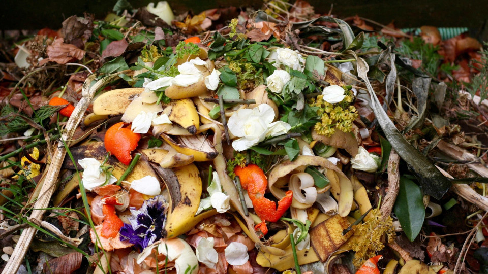 Resíduos orgânicos serão recolhidos de forma seletiva pelos municípios