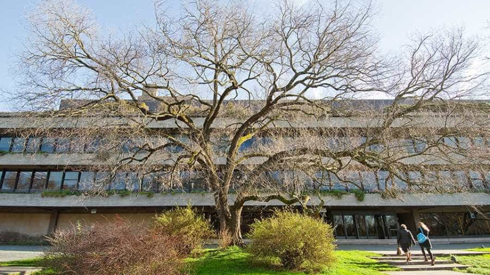 Gulbenkian atribui bolsas a 25 alunos de artes para apoiar formação