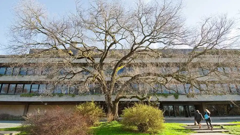 'Veneza em Festa' reúne obras de mestres do século XVIII na Gulbenkian