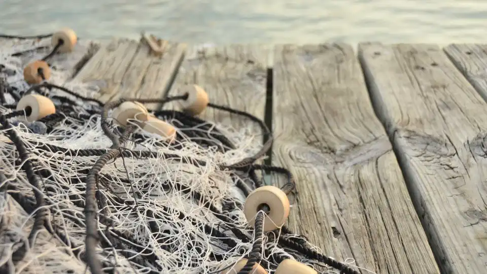 Pesca de arrasto acelera crise ecológica no Mediterrâneo, revela estudo