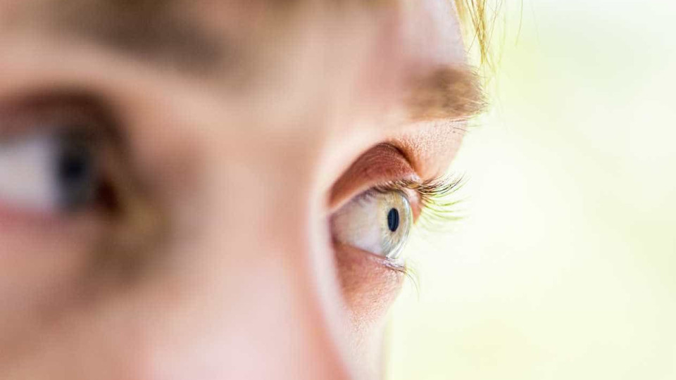 Campanha sobre glaucoma alerta para doença que afeta 150 mil portugueses