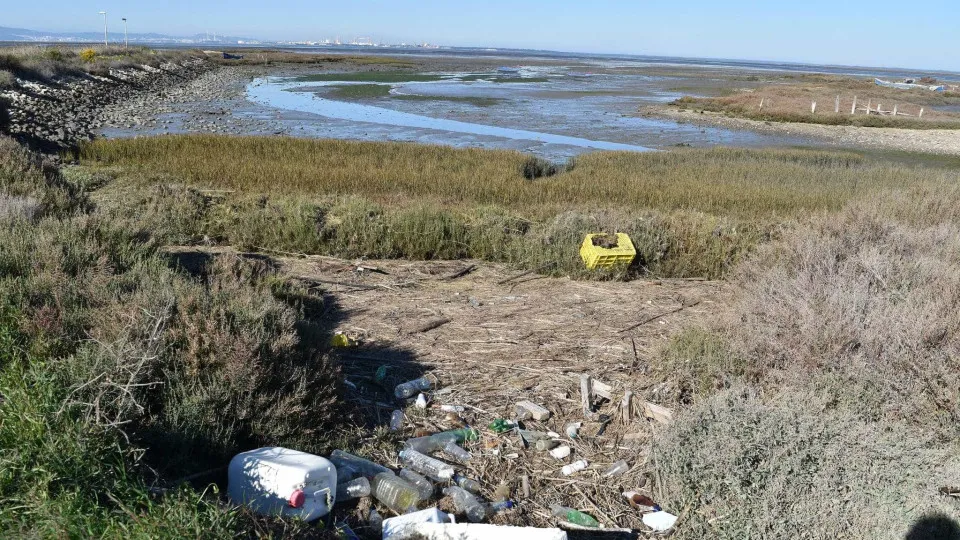 SOS Sado denuncia poluição de dragagens no estuário do Sado