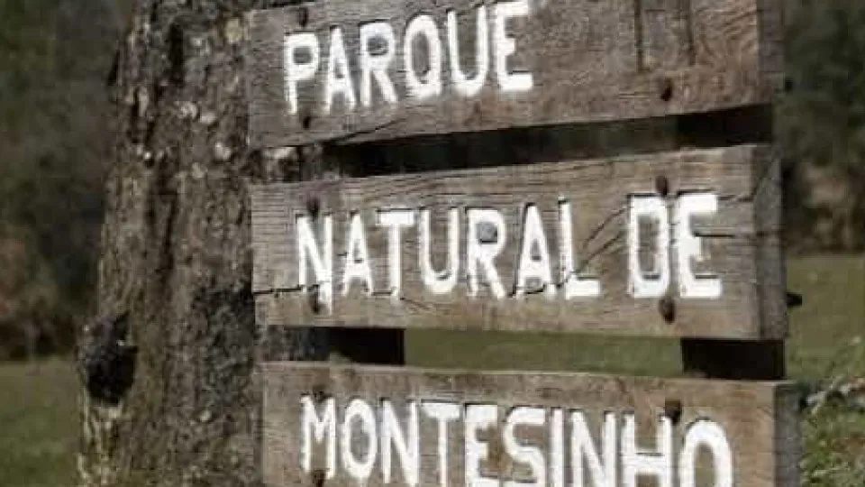 Parque Natural de Montesinho assinala 45 anos com novos projetos