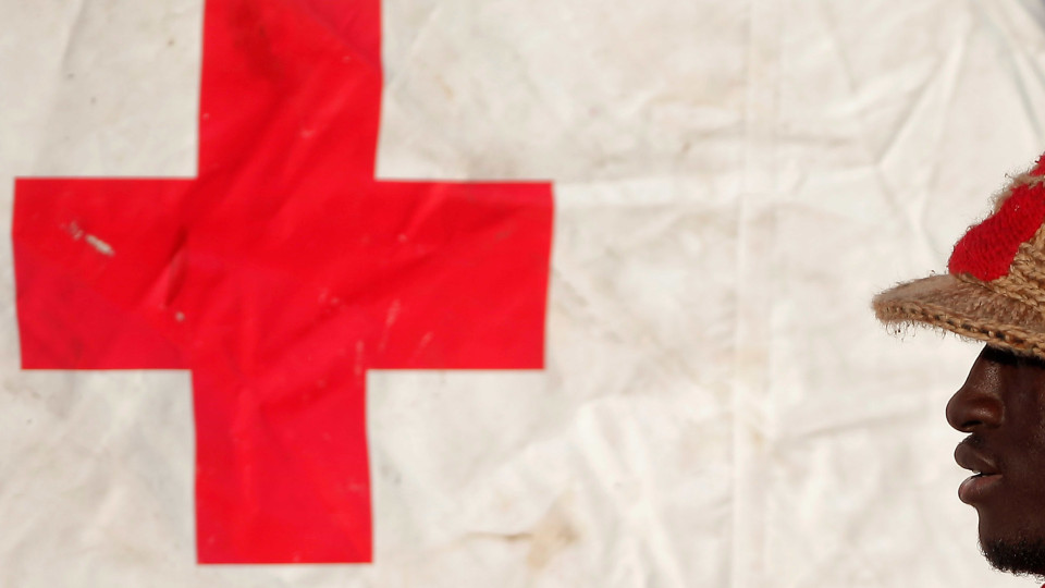 Cruz Vermelha alerta para ameaça de nova praga de gafanhotos em África