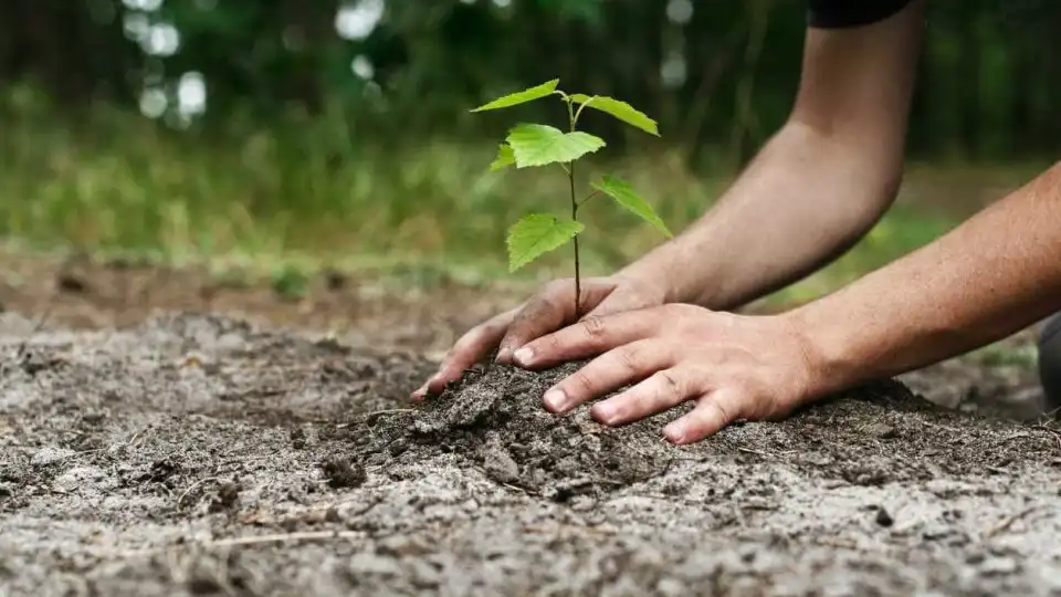 Ativista Anabela Lemos e JA! premiados por dedicação à justiça ambiental