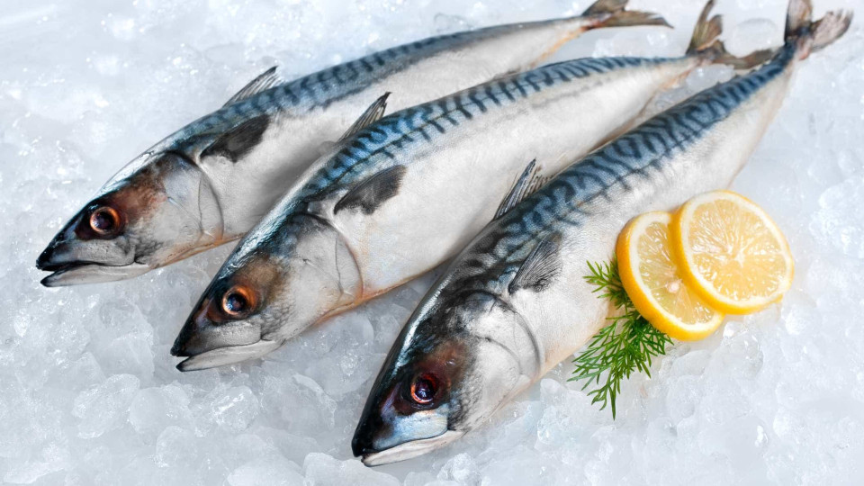 Oceanos: FAO preocupada com aumento de 25% no preço do peixe