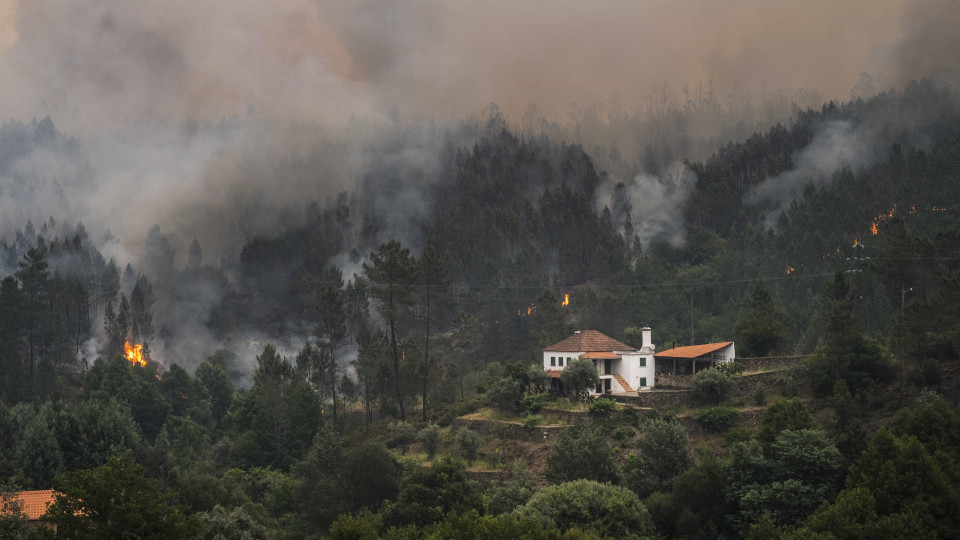 Pedrógão: Congresso quer debater reinserção e futuro de vítimas queimadas