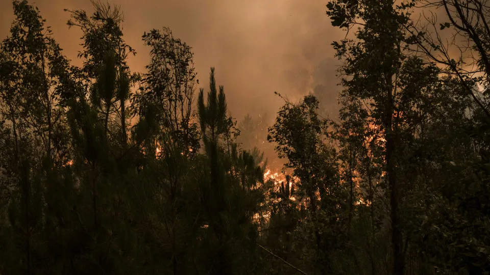 Leiria pede estratégias com "impacto efetivo" sobre risco de incêndio