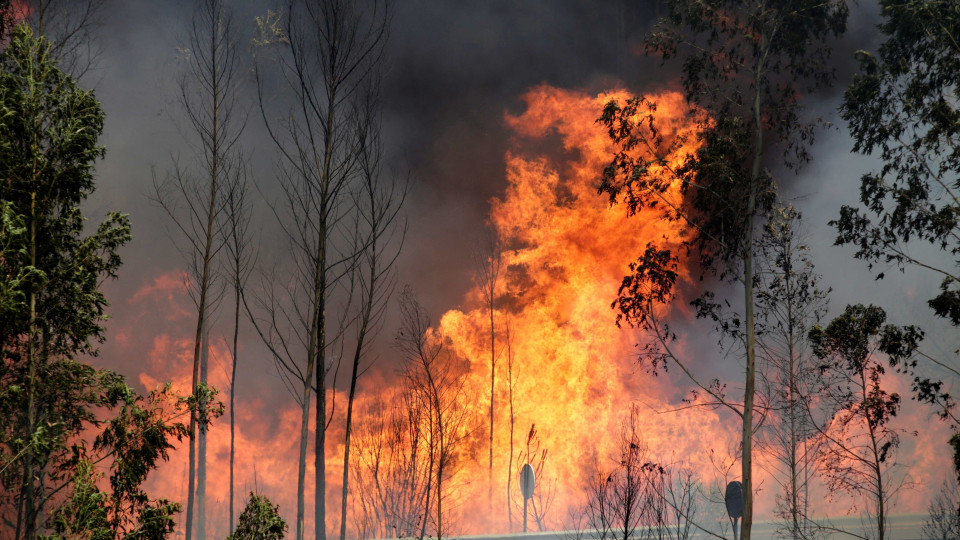 Braga: Incêndio deflagrou de madrugada e ainda não foi extinto