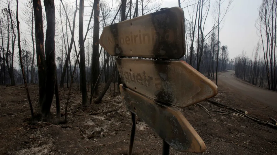 pedrógão grande, incêndio