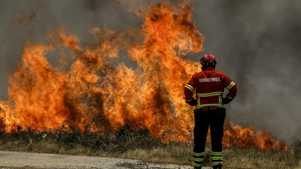 Mais de 50 concelhos de sete distritos em perigo máximo de incêndio