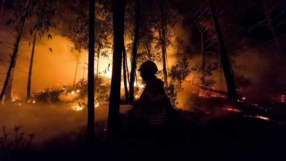 Mais de 100 feridos e 75 mil hectares ardidos em concelhos afetados