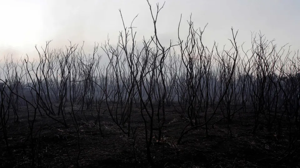 GNR identifica três suspeitos de autoria de fogos em Lamego e Tarouca