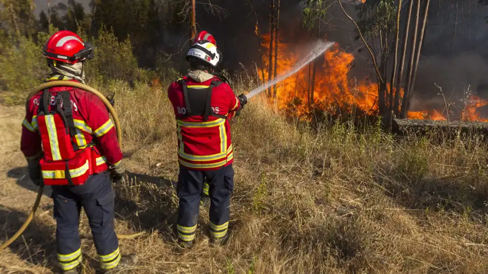 Dez meios aéreos e 289 operacionais combatem fogo em Castelo Branco