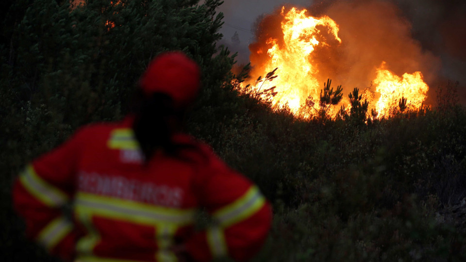 Bombeiros combatem incêndio em zona de mato em Silves