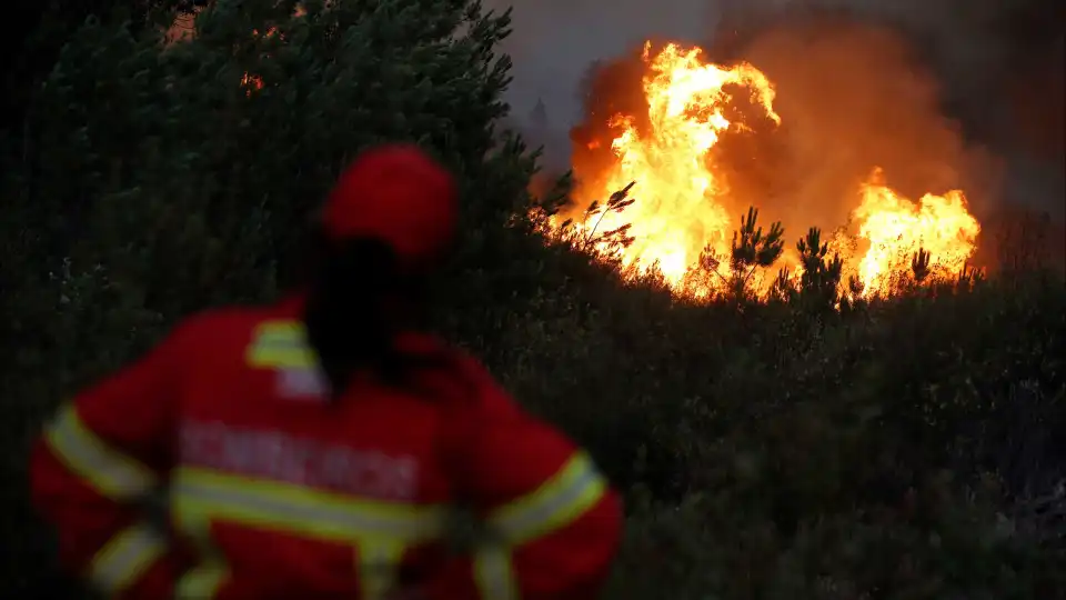 Fogo em Penafiel que ameaçou casas em fase de rescaldo