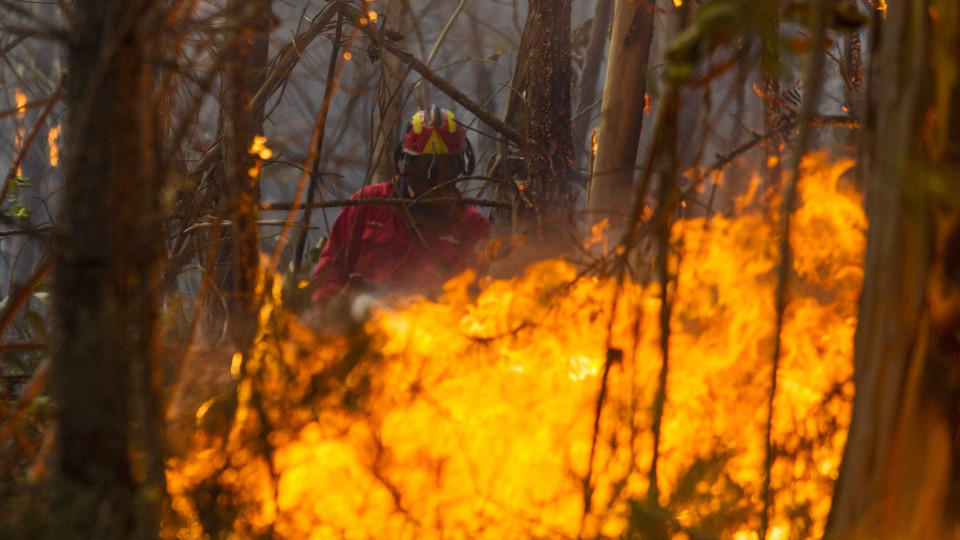 Incêndio consome zona de mato perto da Quinta do Lago