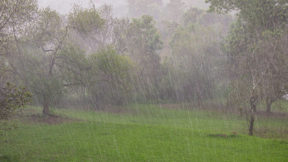 Grupos Ocidental e Central dos Açores sob aviso amarelo devido à chuva