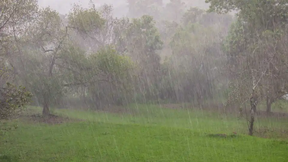 Sete distritos sob aviso amarelo esta sexta-feira devido à chuva