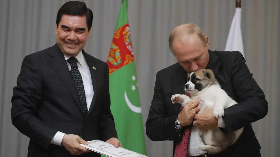 Vladimir Putin recebeu cachorro como presente de aniversário