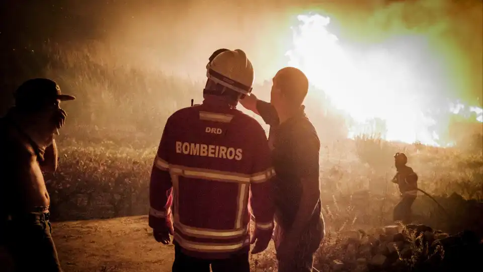 Fogo destruiu no sábado 340 hectares em Oliveira do Hospital