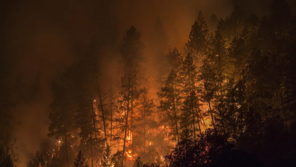 Nos últimos dias estes países têm sofrido com a tragédia dos fogos.