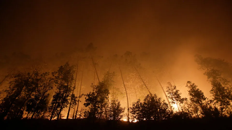 Nos últimos dias estes países têm sofrido com a tragédia dos fogos.