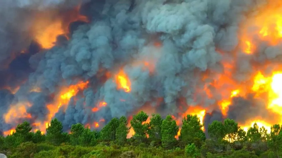 O impressionante inferno em Vieira de Leiria