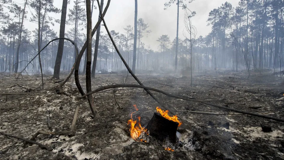 incêndios, fogos